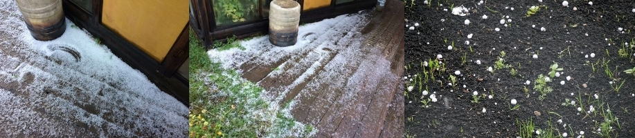 Сентябрь начался, как обычно...