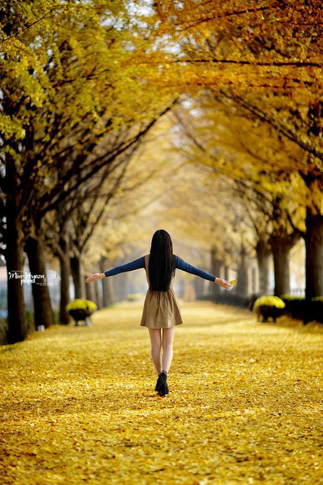 Я радуюсь осени...