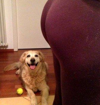 Дамы с собачками