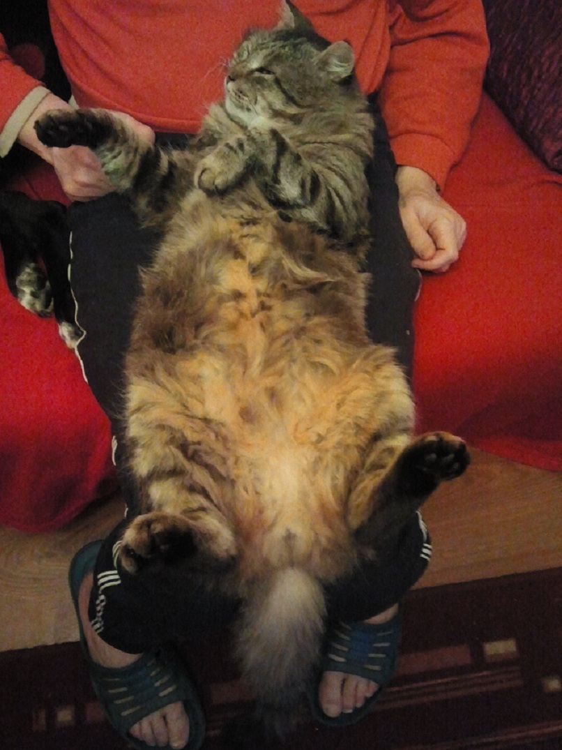 Памяти Маратки