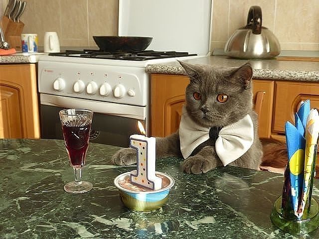 Член семьи