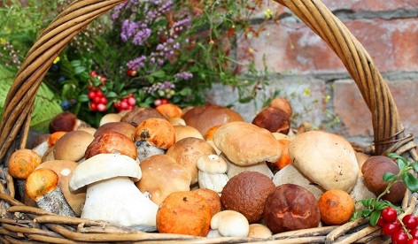 Запас карман не трёт