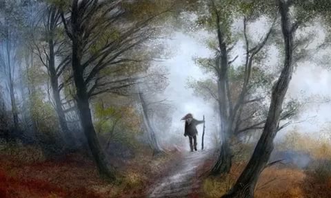 Я только странник