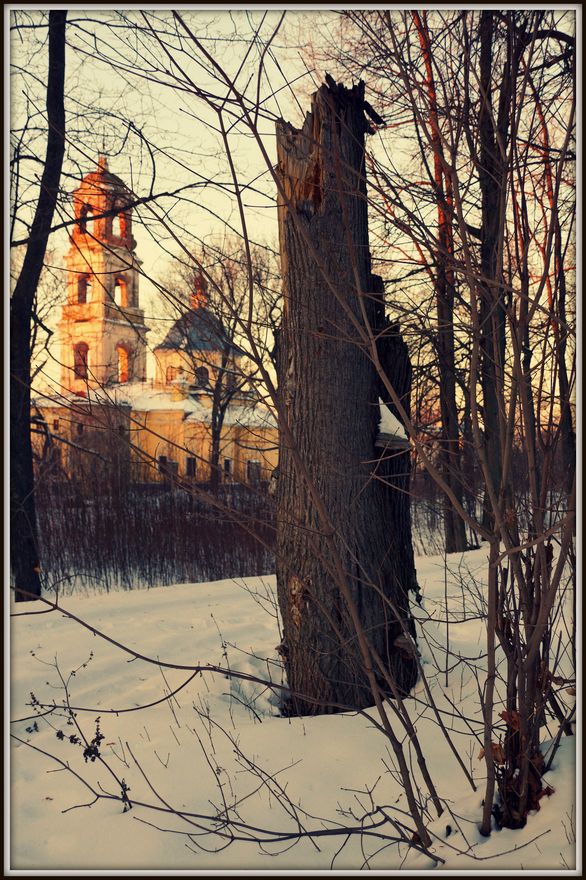 Усадьба Троице-Лобаново и Троицкая церковь 6