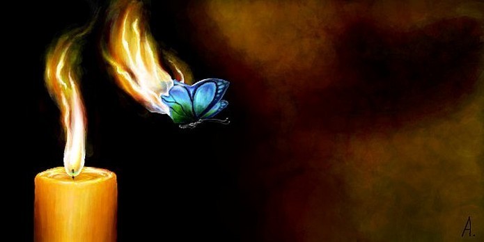 Он сложил свои крылья