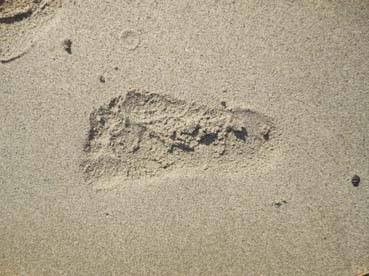 След на песке