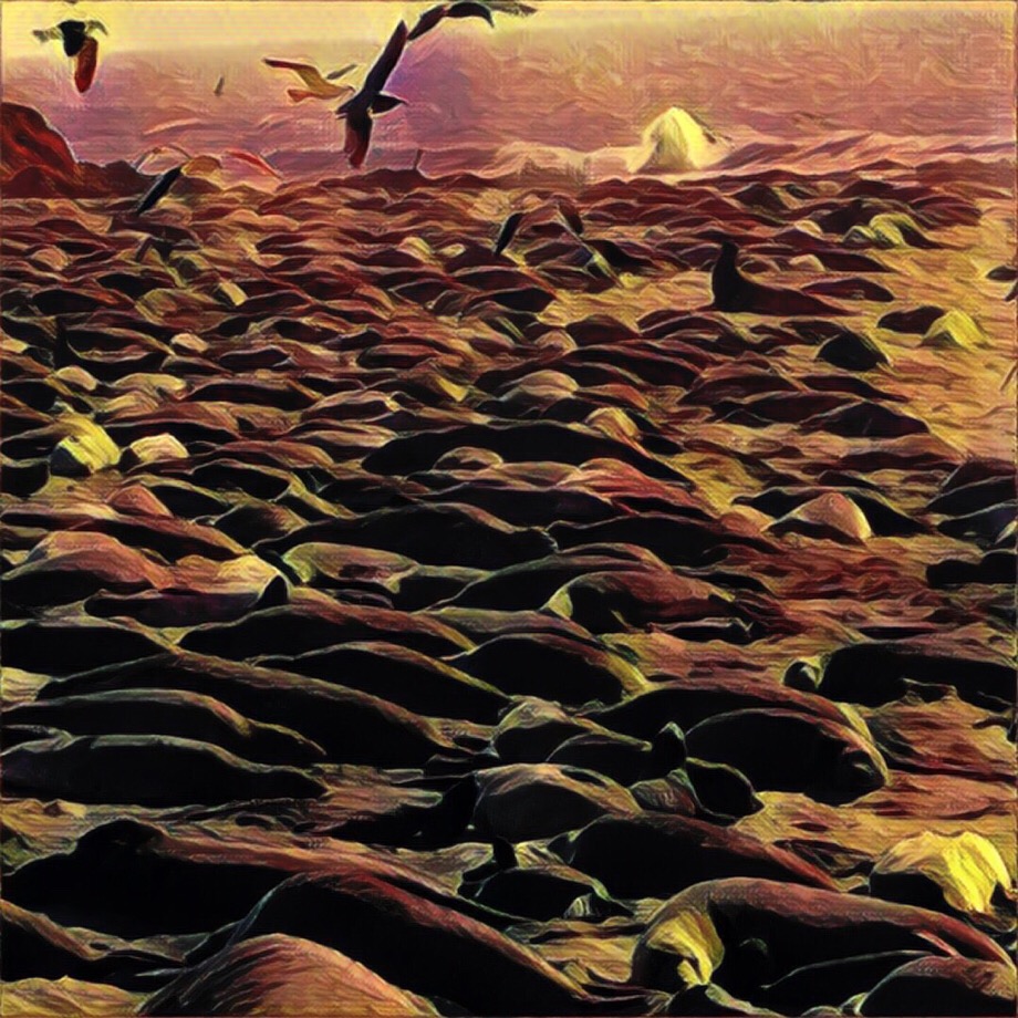 Ну зачем ты