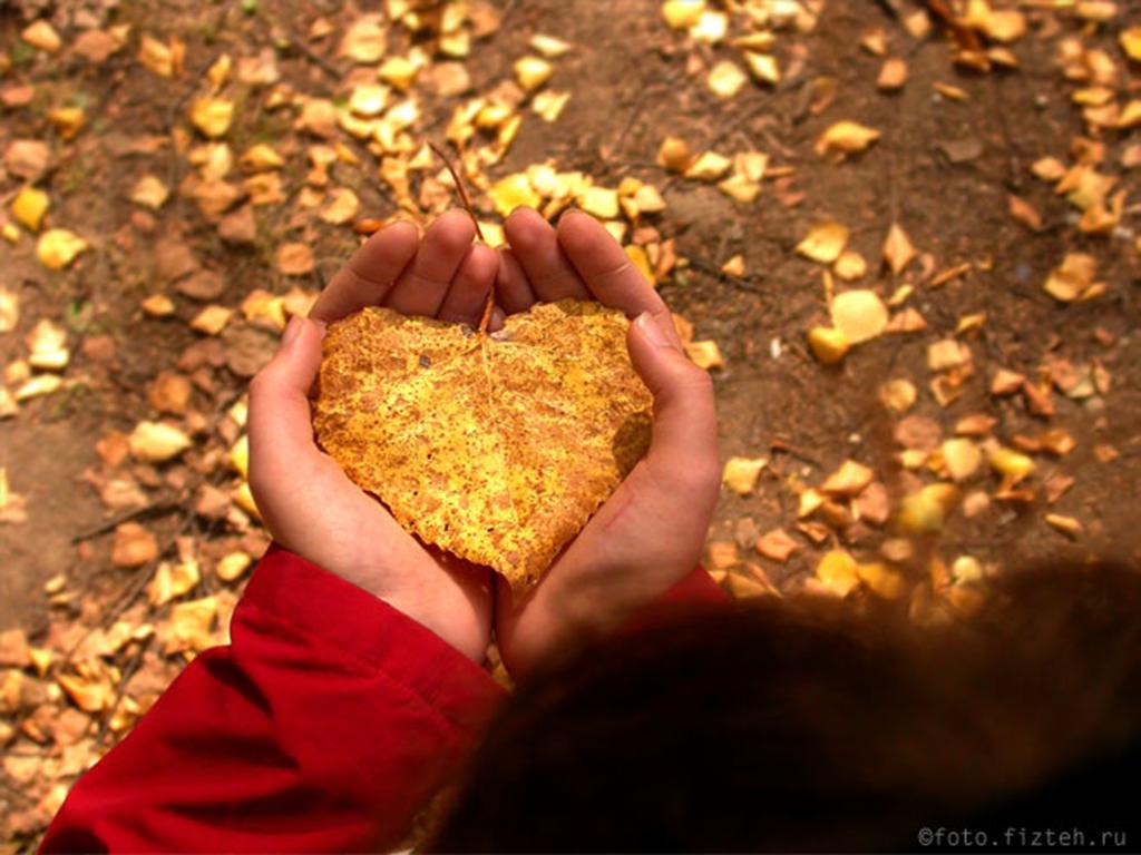 Все хорошо. Просто немного осень