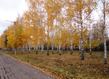 Парк. Скамейка. Дождик