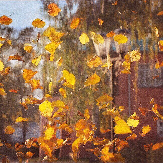 Главное правило осени. Листья кружащиеся в воздухе акварель. Посмотрите за окошком листья кружатся летят. Посмотрите за окошком листья кружатся летят. Осенний листопад.