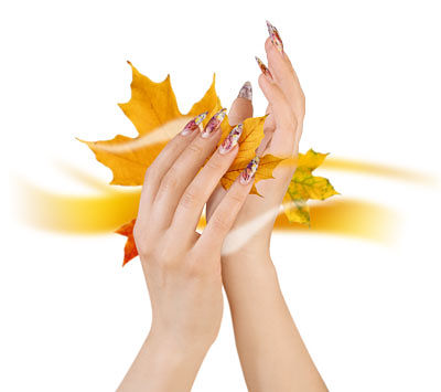 Засентябрило за окном