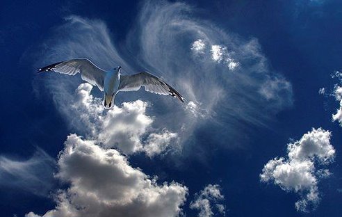 Недостает того, что не найти