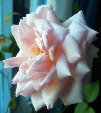 И долго будь со мной!