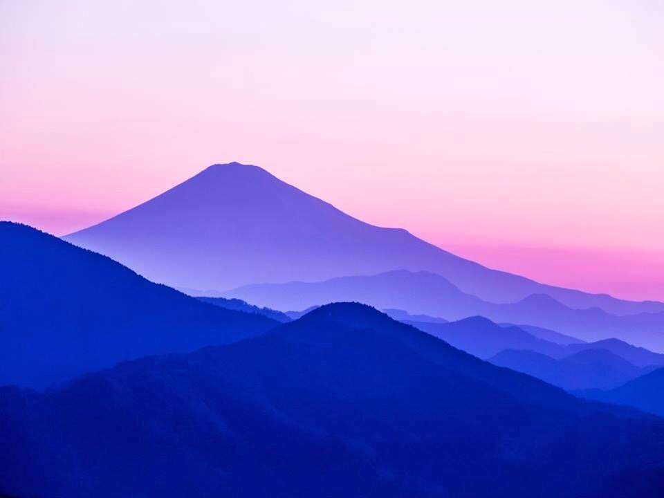 Цвети наш край!