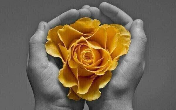 Счастье пожелай себе!