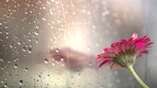 Жизнь станет веселее