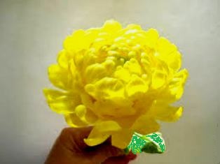 Запылает рассветом закат