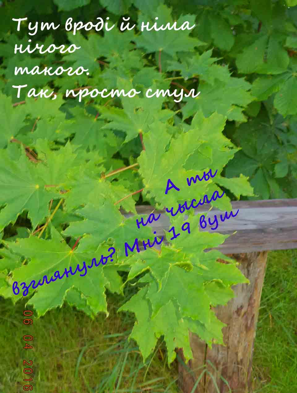 Чево вы хотите на конкурсы вашы?