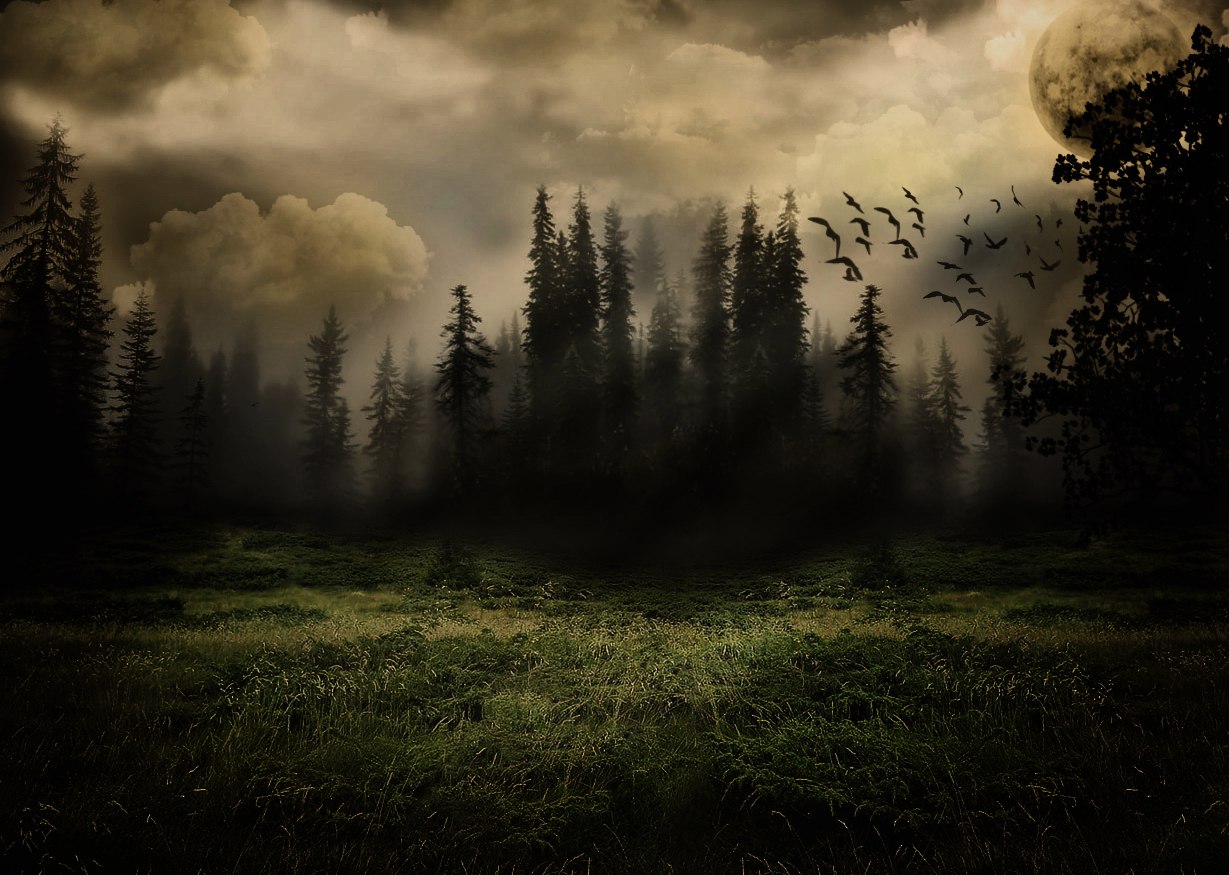 Домой по осеннему утру...