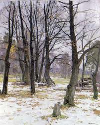 В уснувших лесах царит тишина...