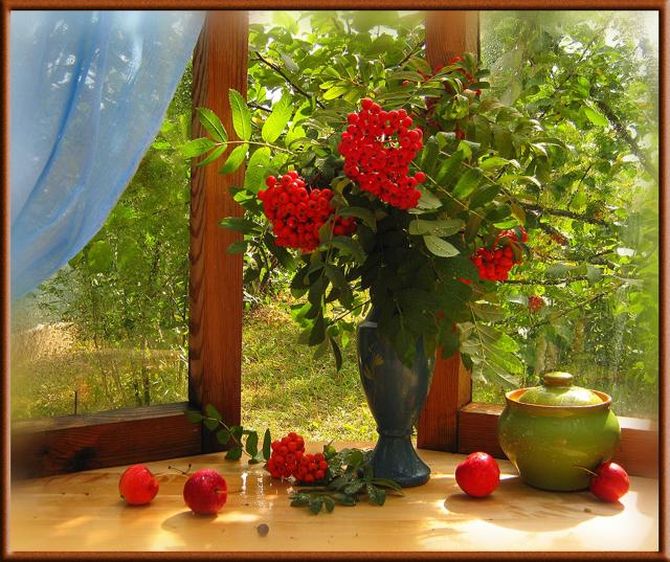 От мира не закроюсь занавесками