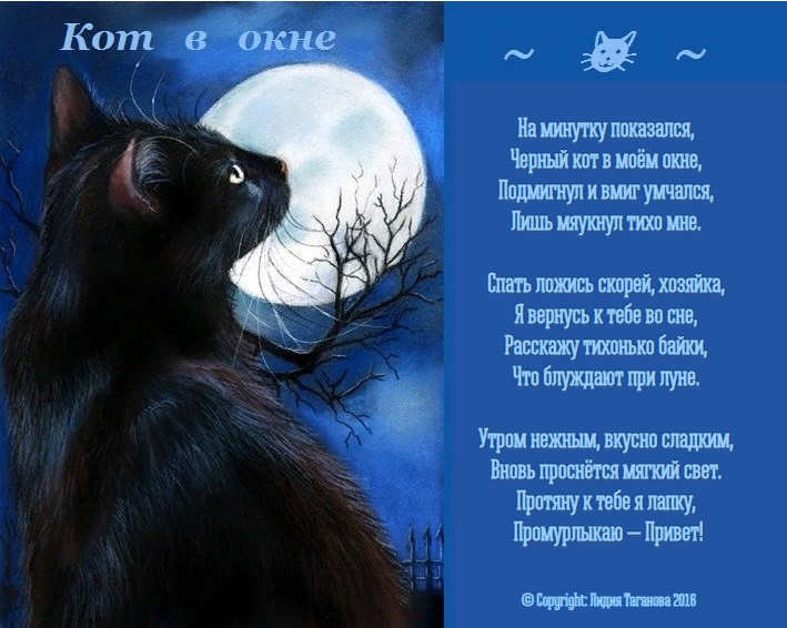 Текст лунный кот