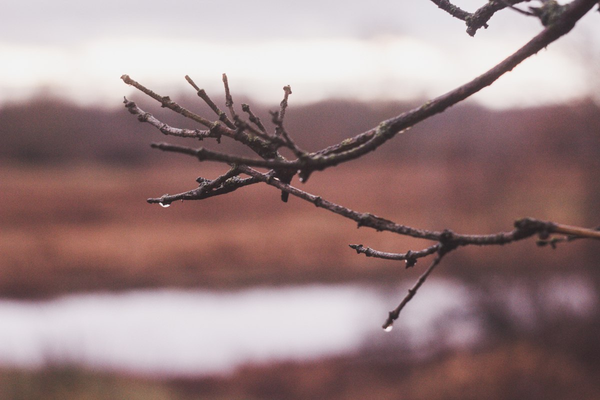 Всмотреться до конца