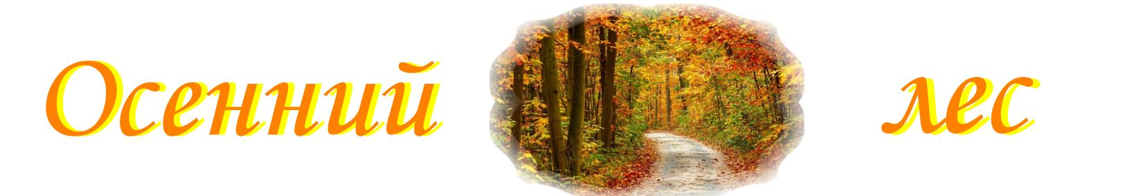 Осенний лес