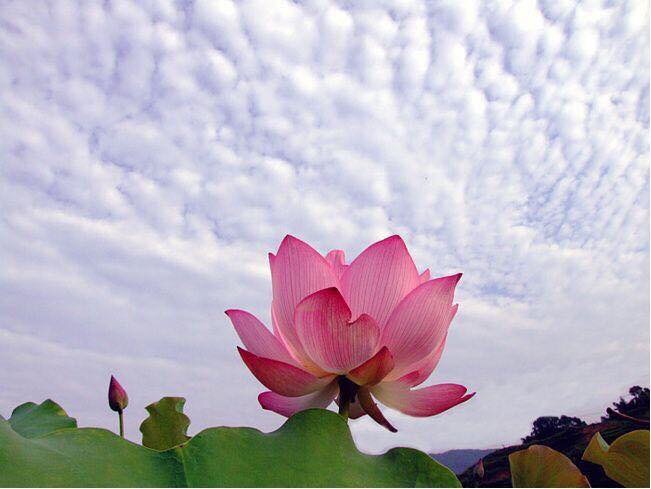 Сила молитвы вершит свои тайны!