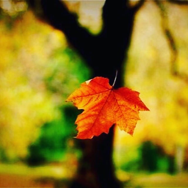 моя душа в глубоком бессознании