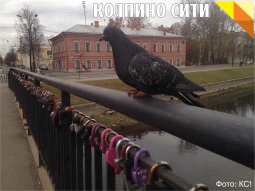 Думский мост