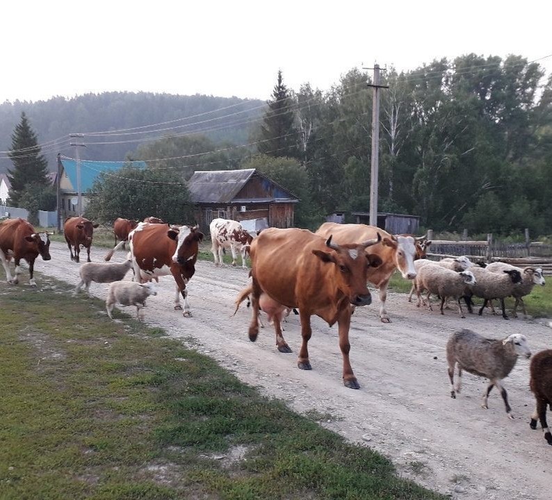 Меня не знают в тех уже краях