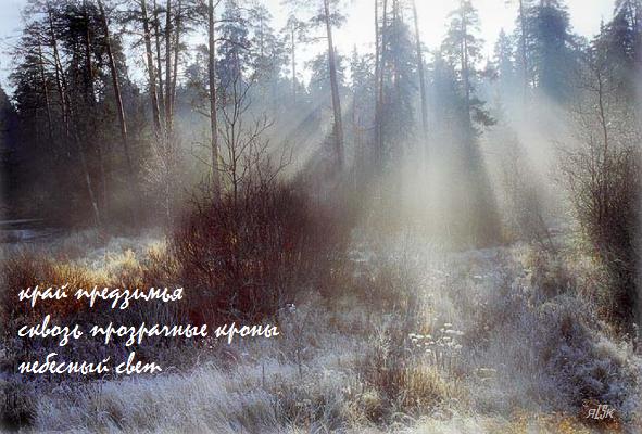 край предзимья - хайга