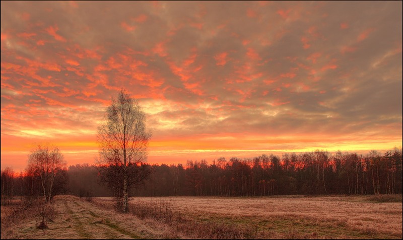 Радость - под замком