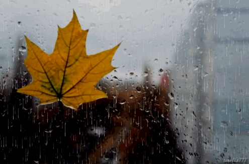 Последний лист