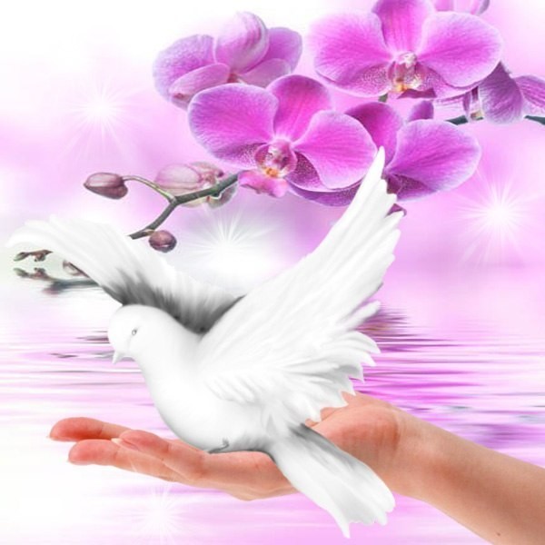 Дни разлуки