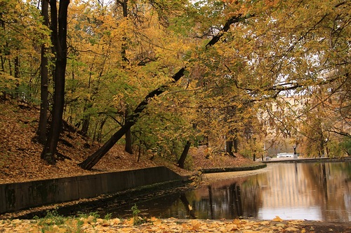 лист 20 - Как хмелем больна голова...