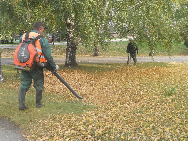 На земле лежали листья (Николай Вершинин 2) / Стихи.ру