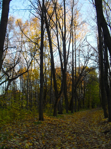 лист 27 - Я потом неизбежно открою...