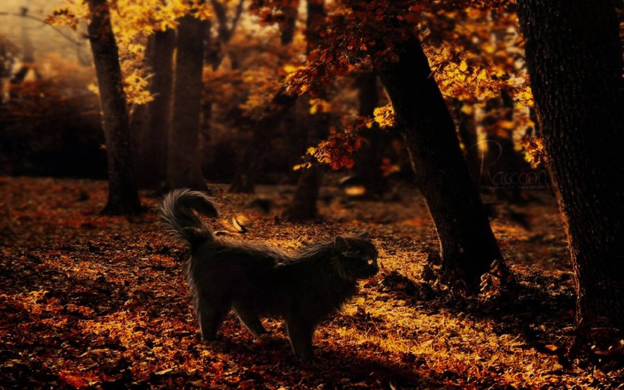 сегодня осень