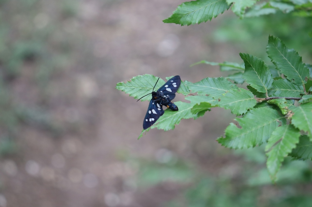 Кого-то ждёт счастье, судьба и мечтанья
