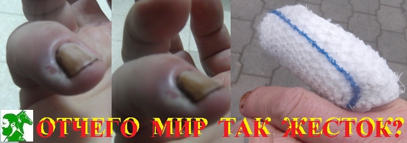 Отчего мир так жесток
