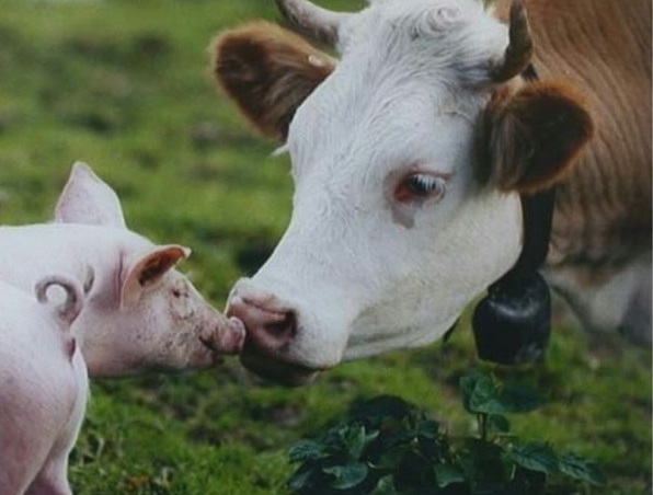 Притча про хорошие дела