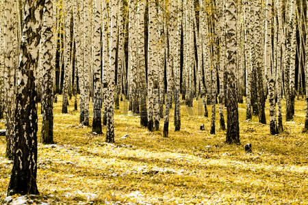Горка Любви и горка Разлуки