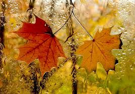 18. Стихи надо чувствовать душой