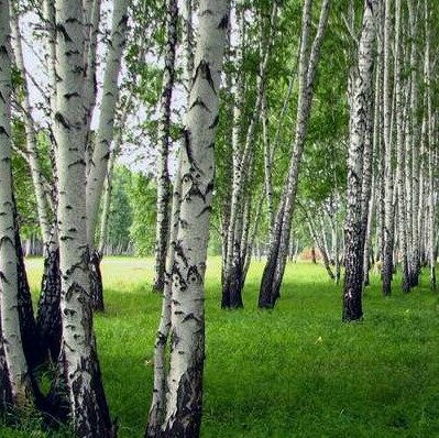 Россия. Песня. Автор Л. Журавлик