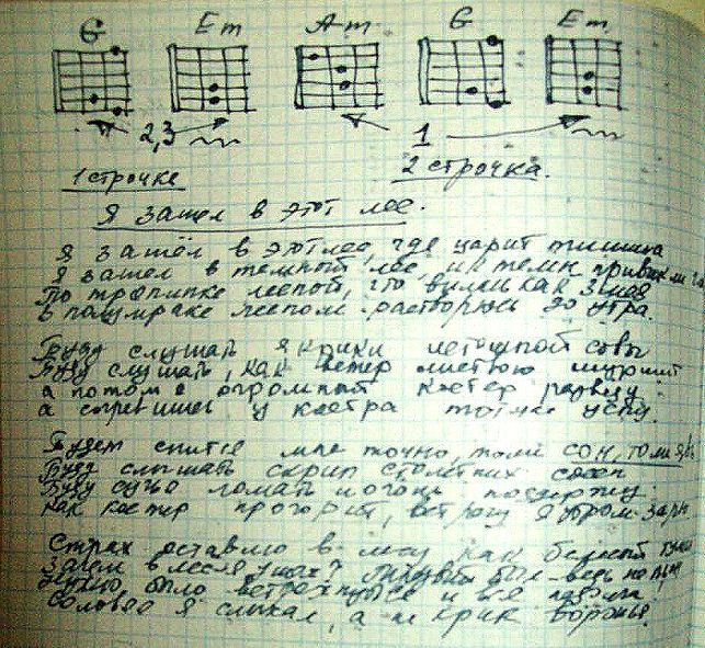 Стр. 11 стихи, песни и гитары. 11 в темном лесе