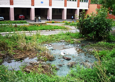 Перерождение