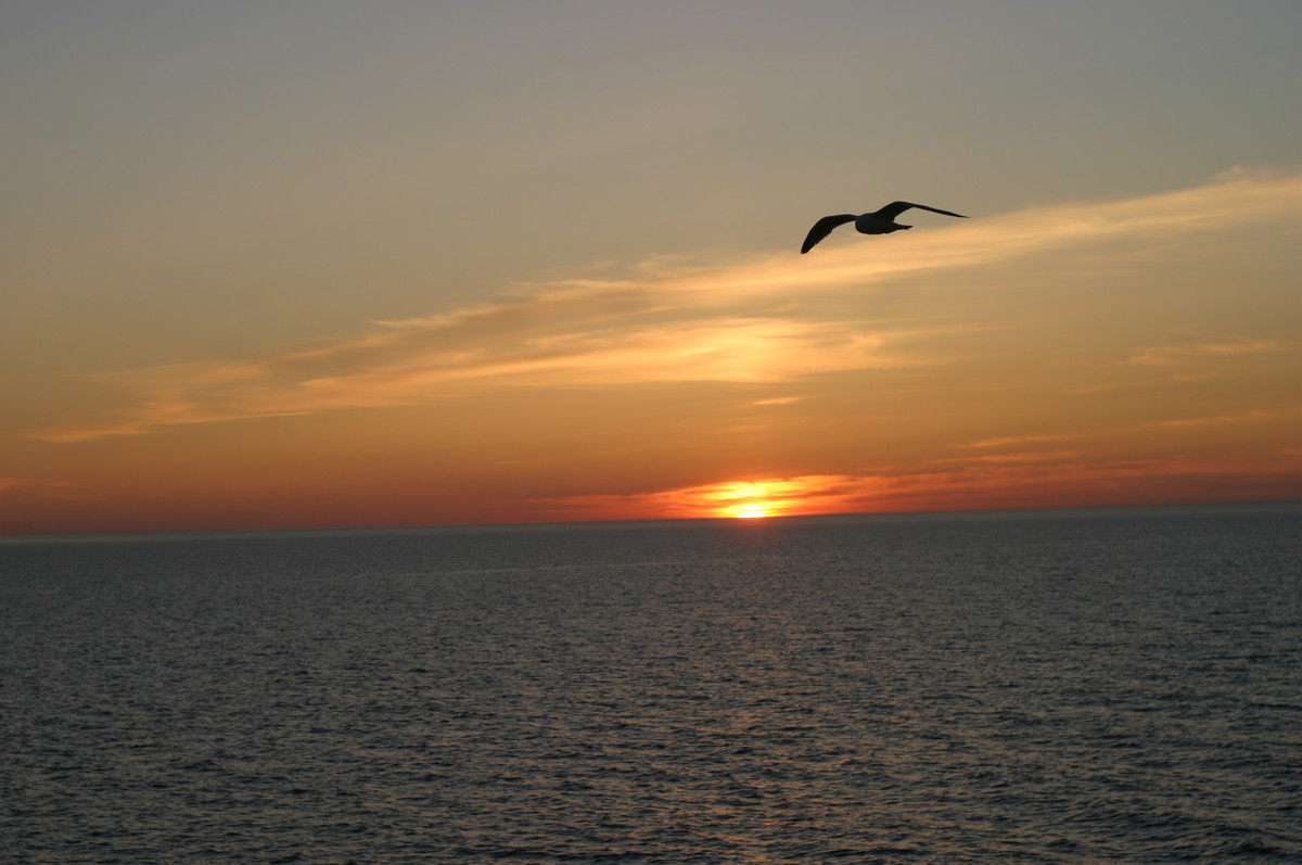 Прощание с Эдемом