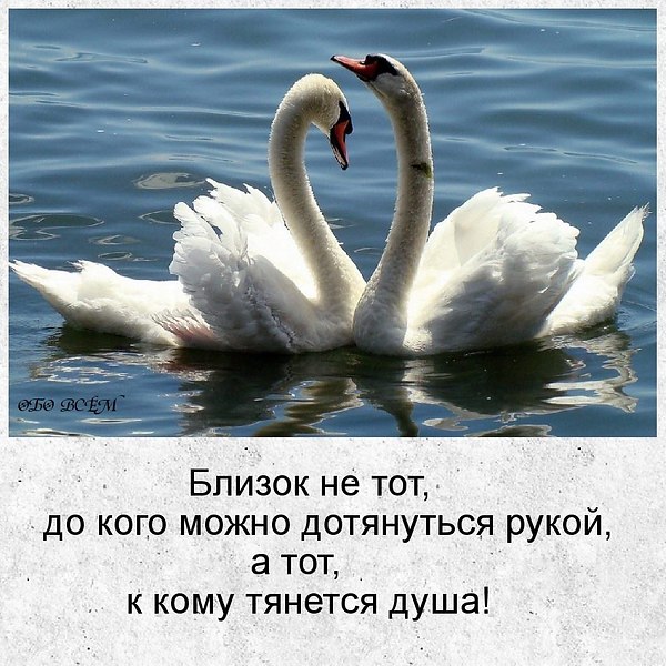 Родная душа Песня